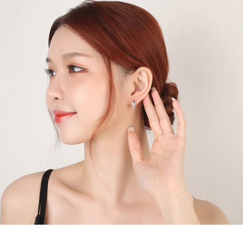 Women's Sterling Silver Zircon Hoop Earrings